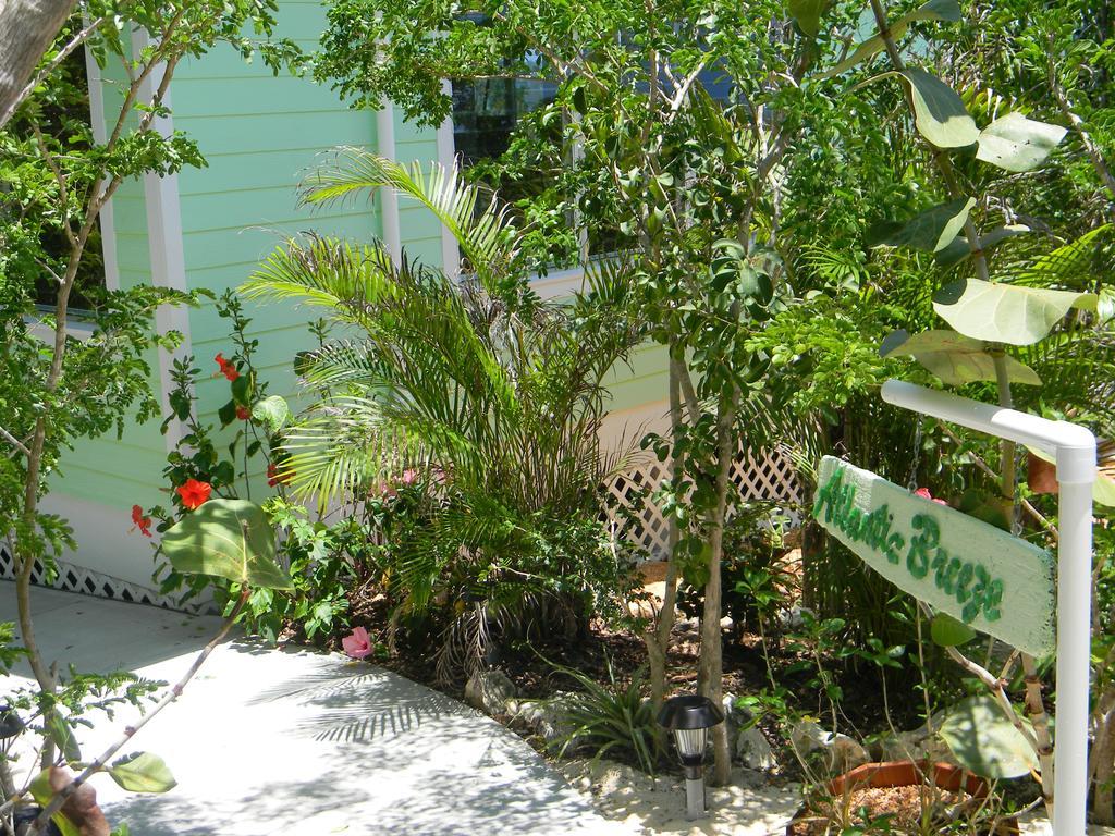 Harbor Breeze Resort 5*