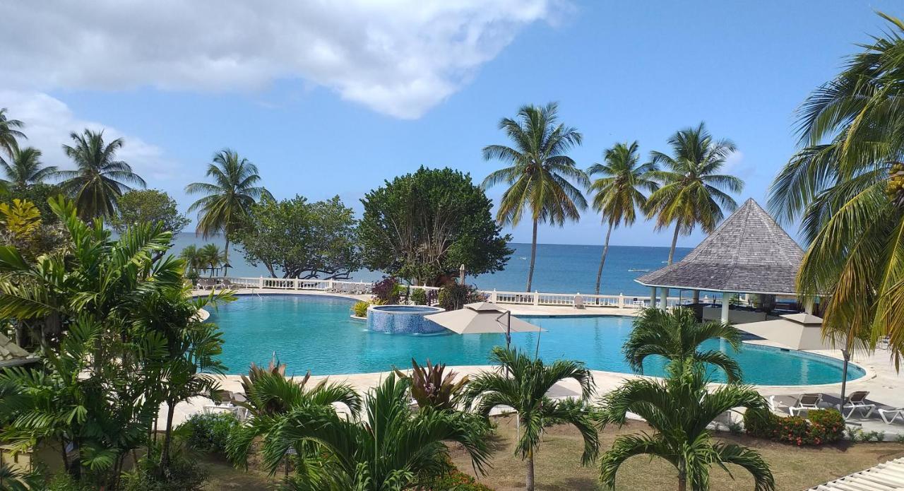 Starfish Tobago
