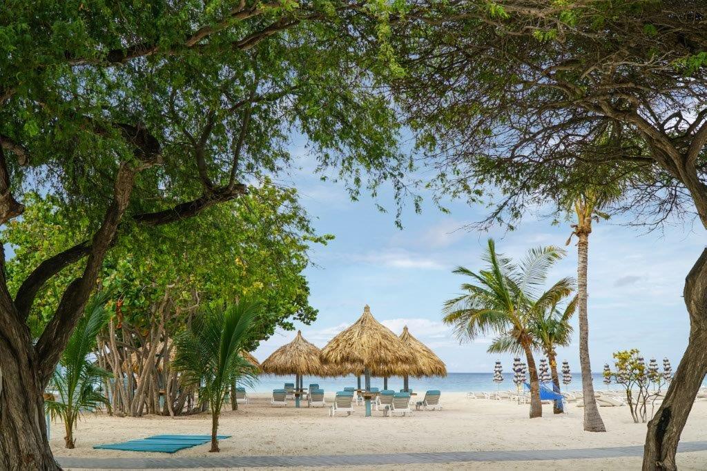 Hotel Boardwalk Boutique Aruba - Adults Only 4*