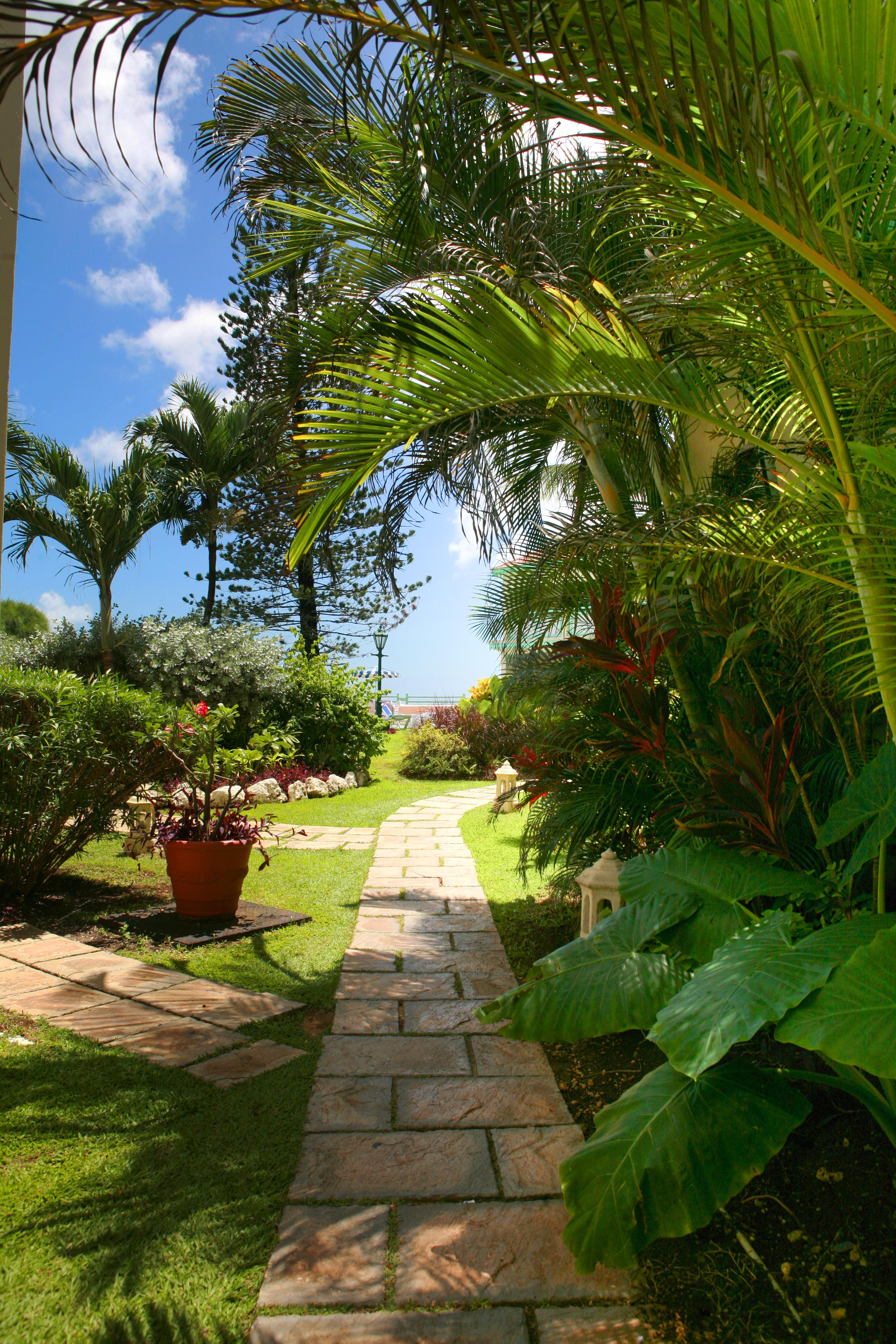 Blue Orchids Beach 3*