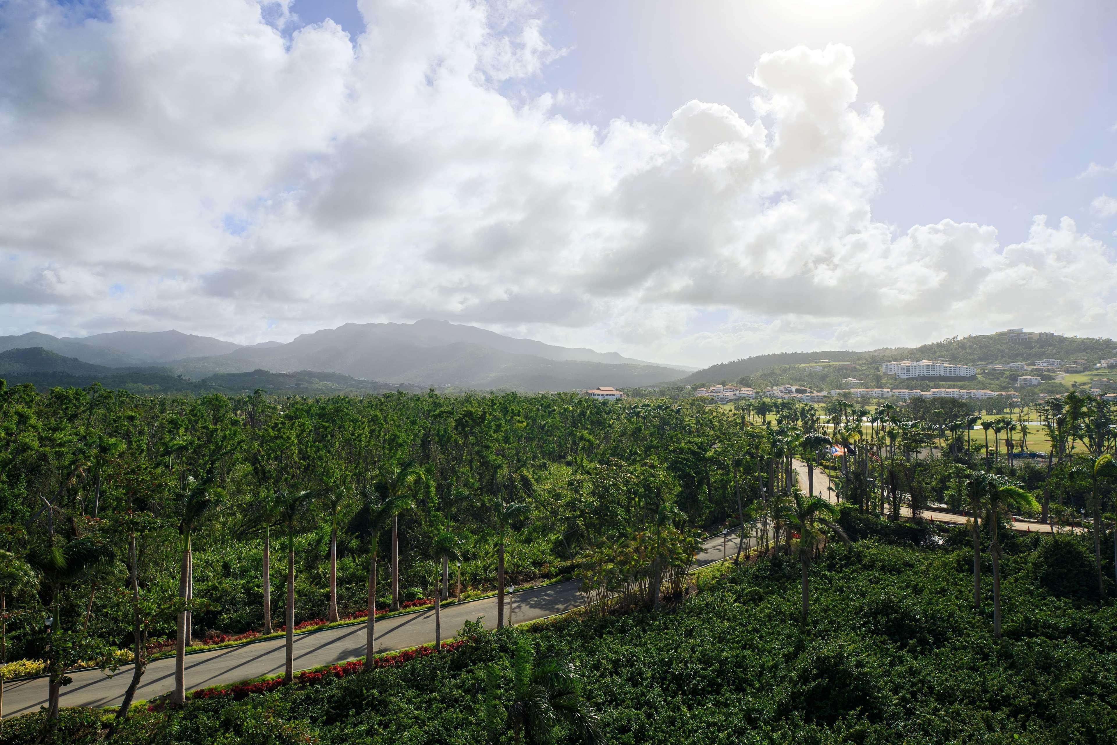Wyndham Grand Rio Mar Rainforest And Golf Resort Rio Grande