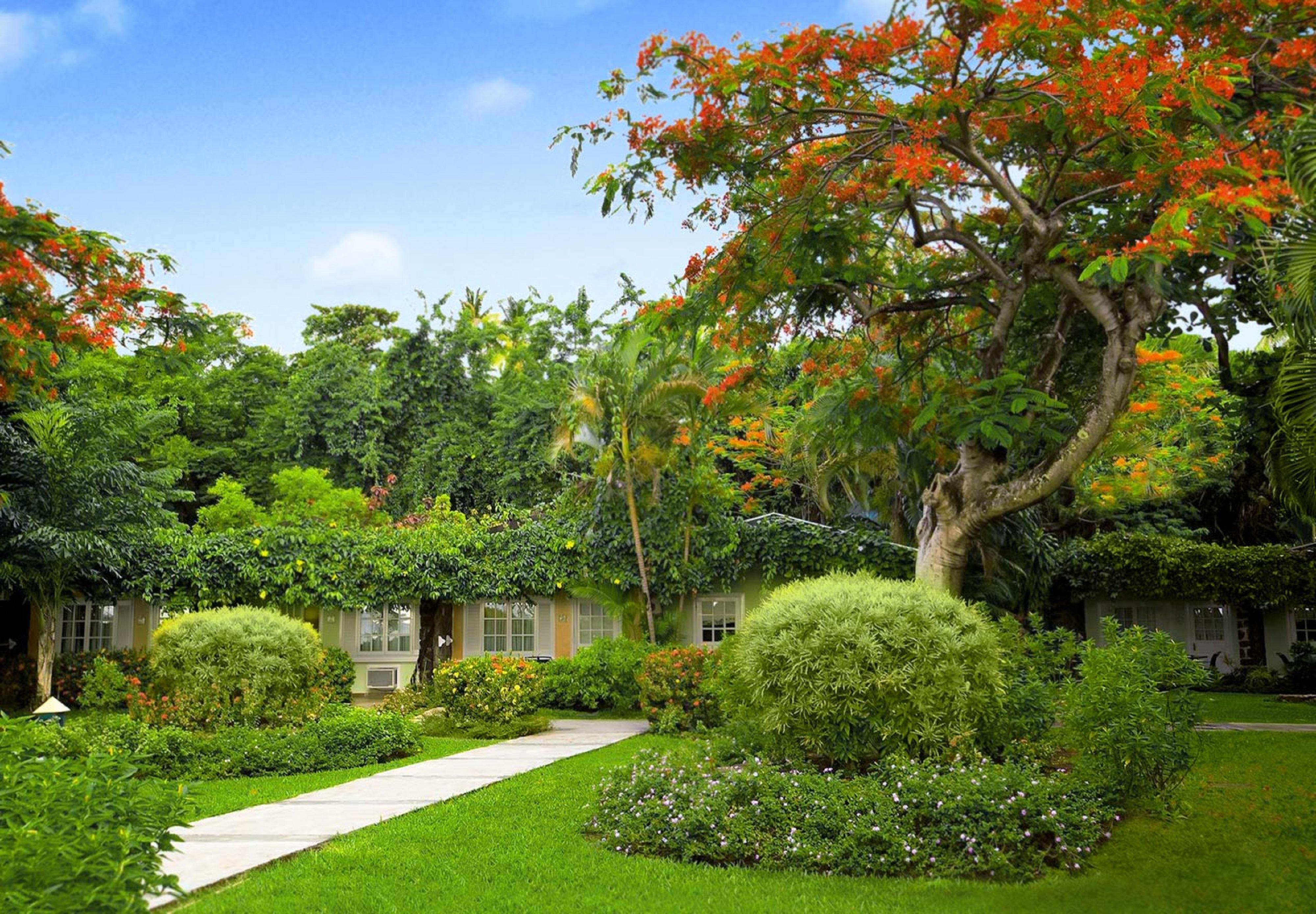 Sandals Halcyon - Couples Only (adults Only) 5* Vigie