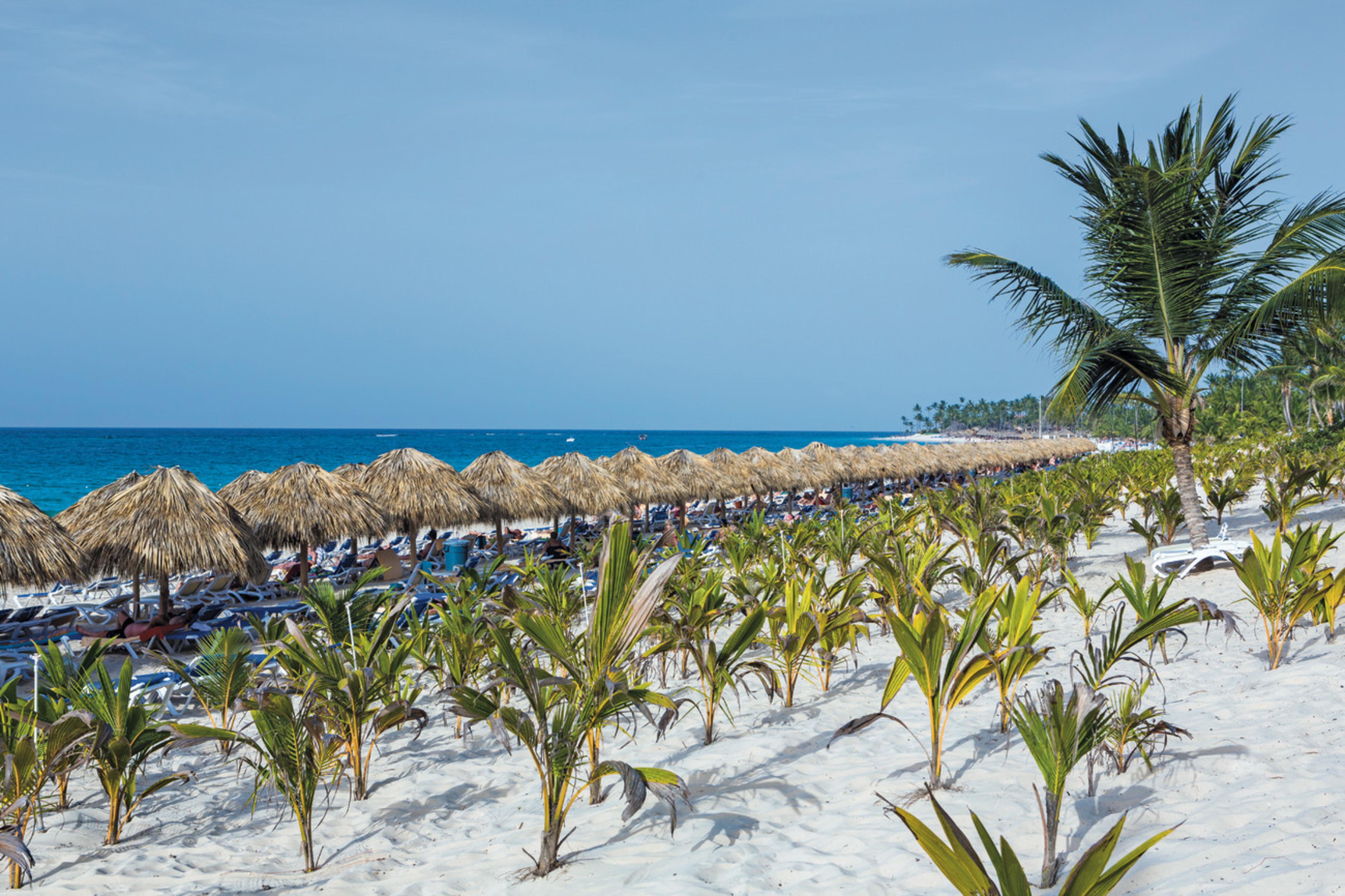 Riu Republica (adults Only)