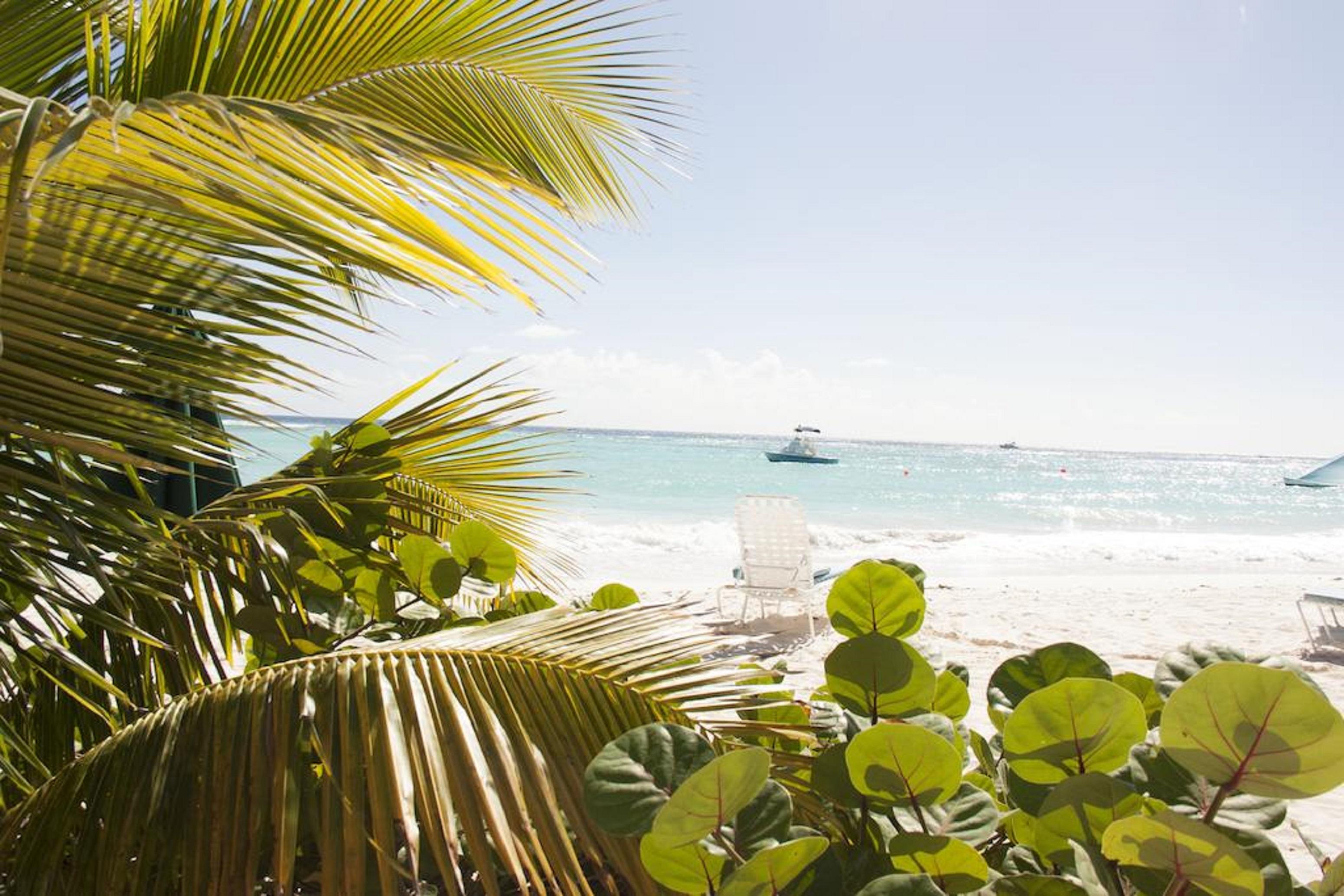 Hotel Palm Garden Barbados