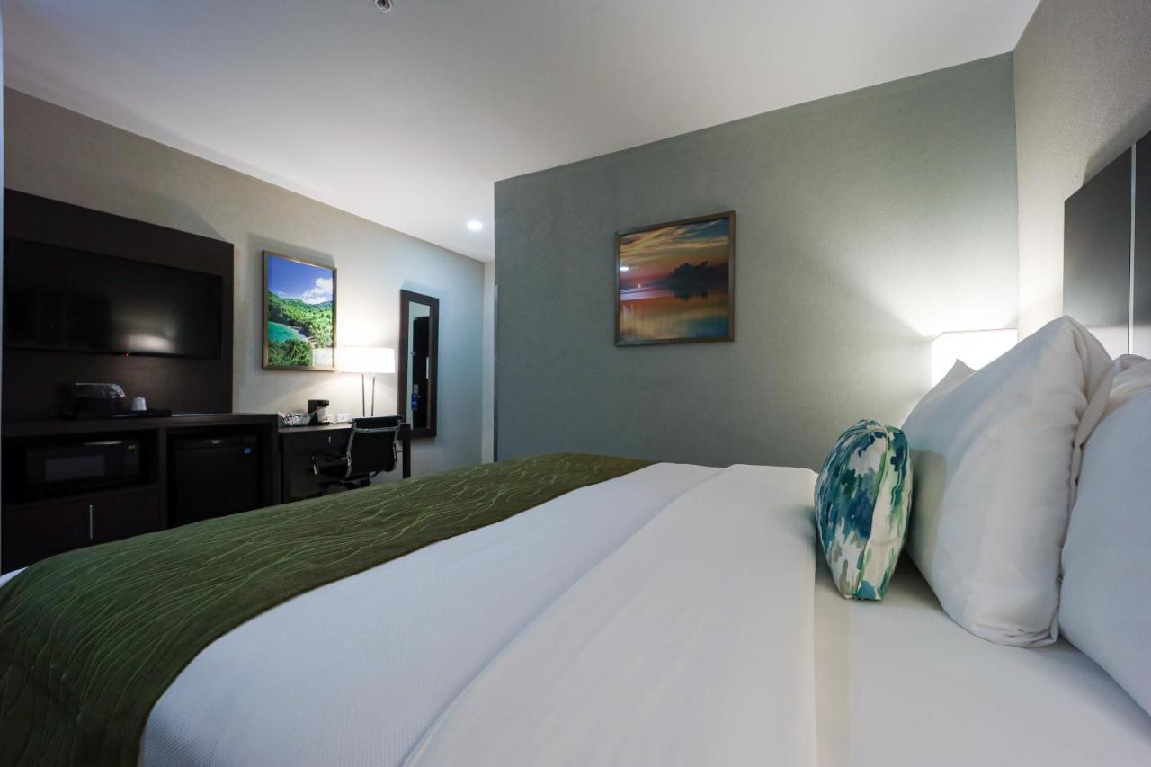Comfort & Tobago Hotel Signal Hill