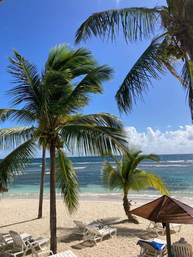 Tropic Village Vue Guadeloupe St Anne