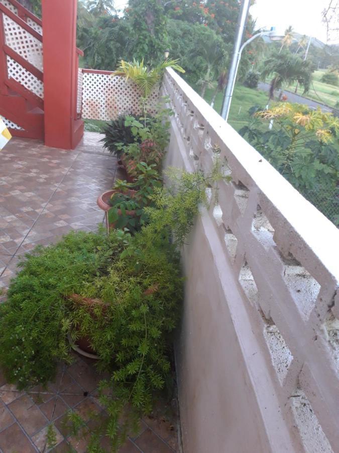Tranquil Guest house Buccoo