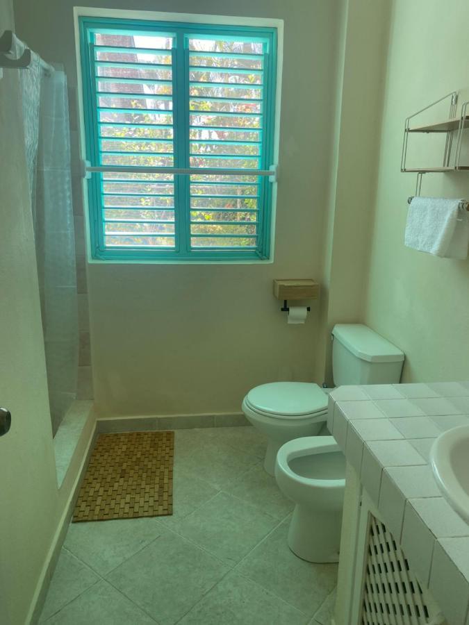La Dolce Rental, Terrenas, Apartment