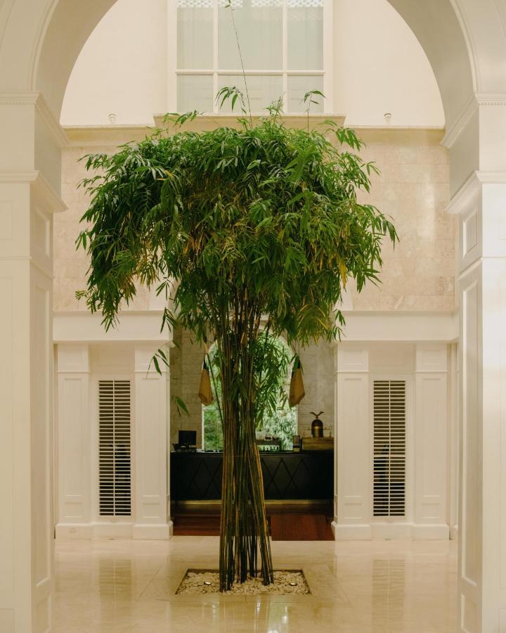 Hotel Casa Colonial & 5*