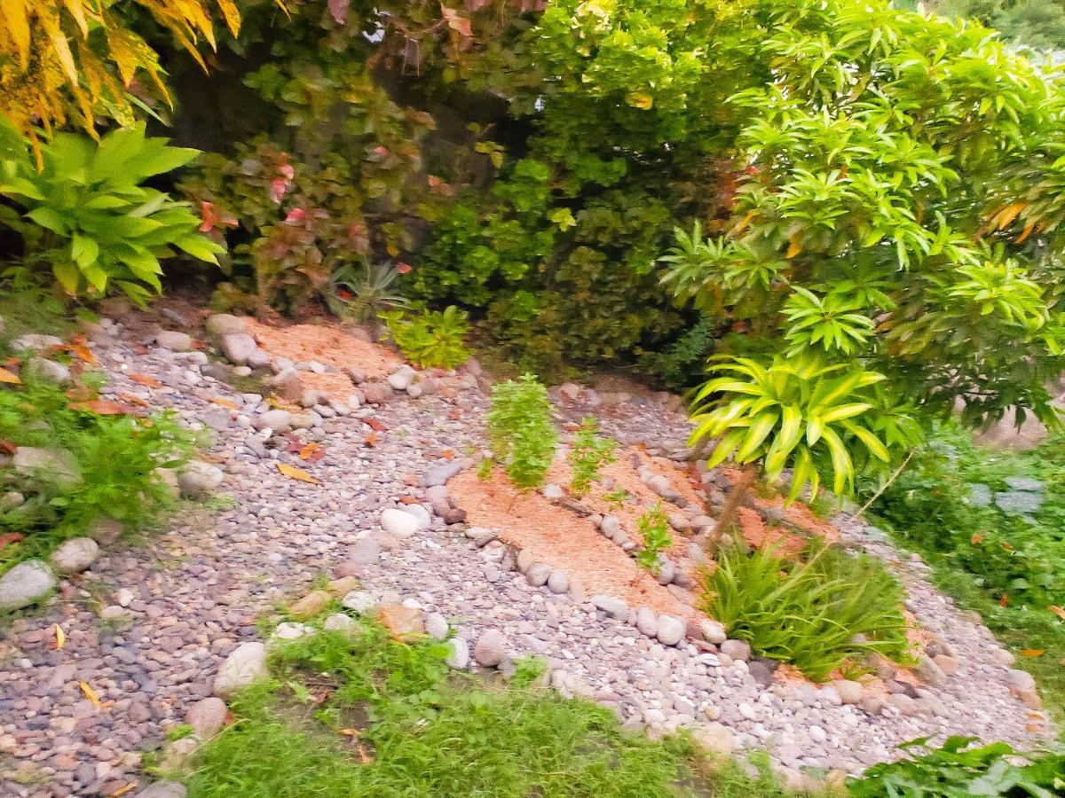 La Kaye Nou By Smo Wellness * Soufriere