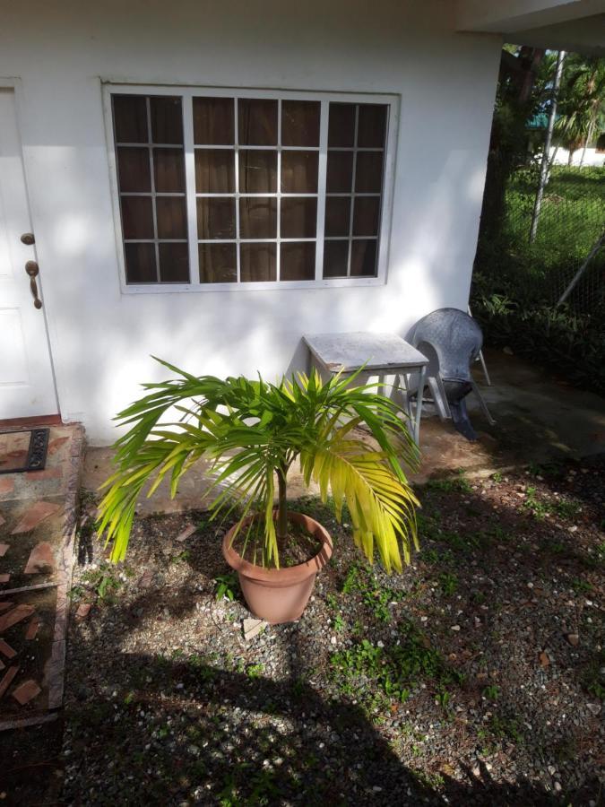 Tranquil Guest house