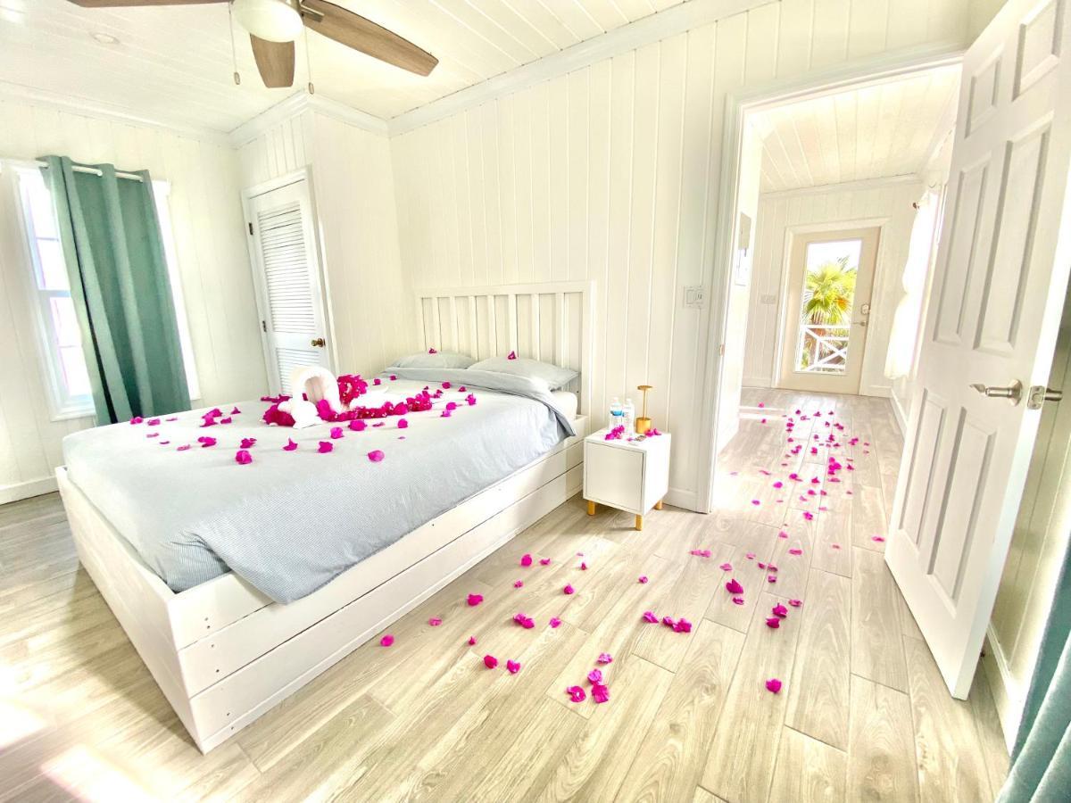 Eleuthera Retreat - & On Pink Beachfront *
