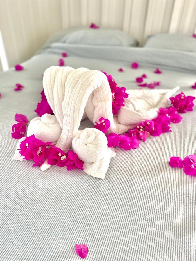 Guest house Eleuthera Retreat - & On Pink Beachfront *