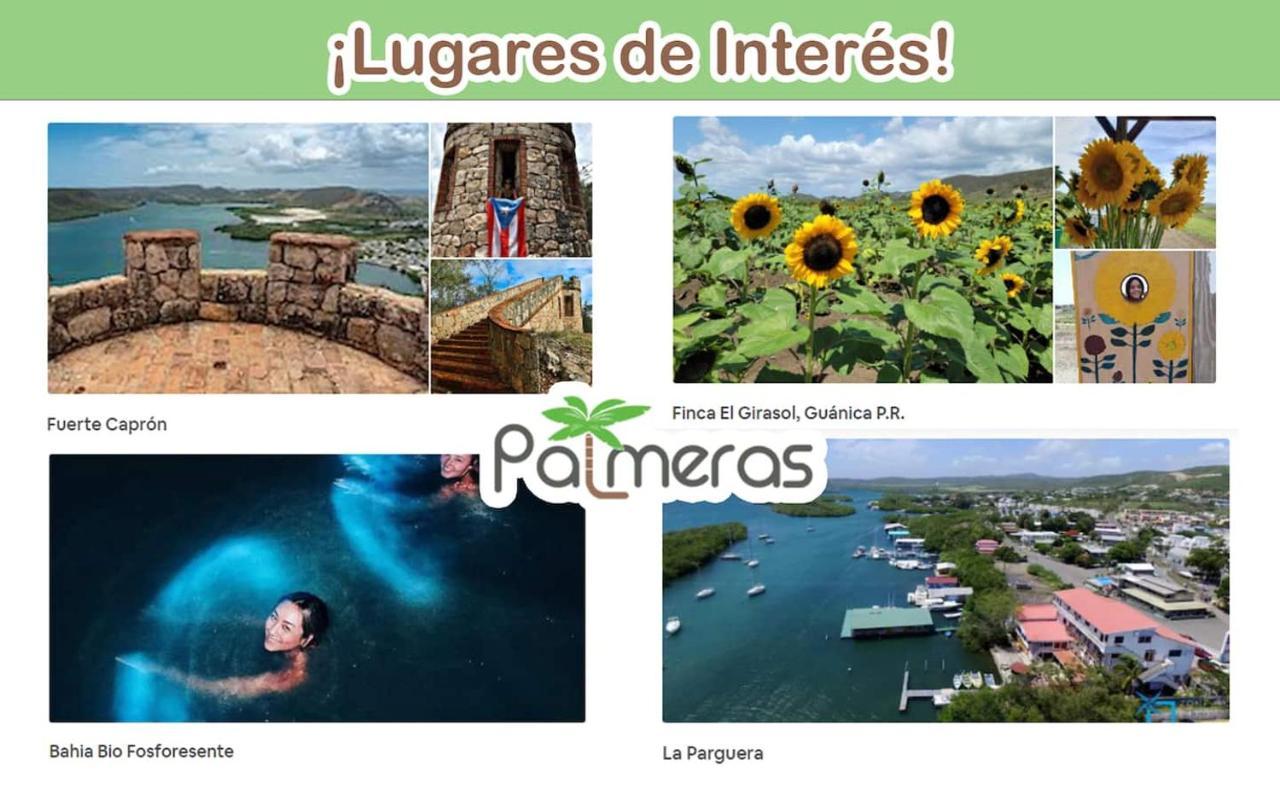 Palmeras - Playa Santa * Guanica