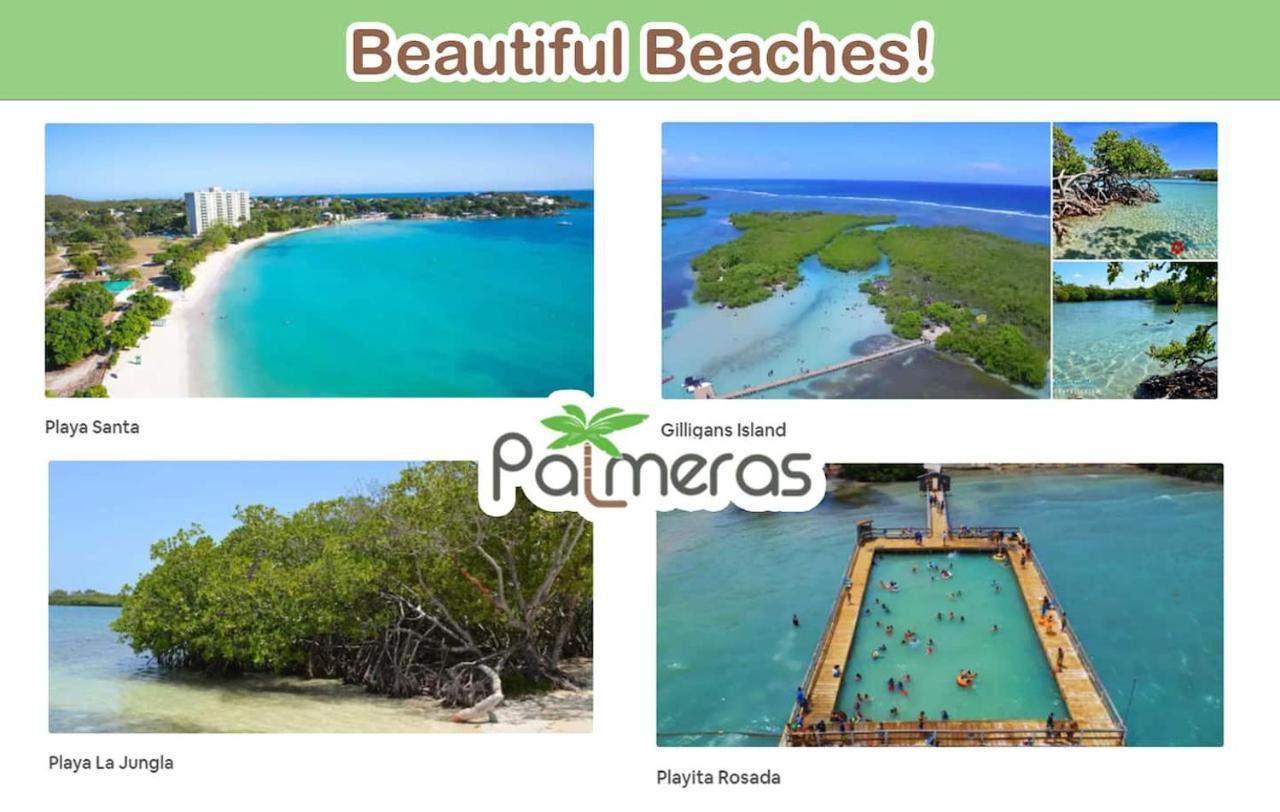 Palmeras - Playa Santa * Guanica