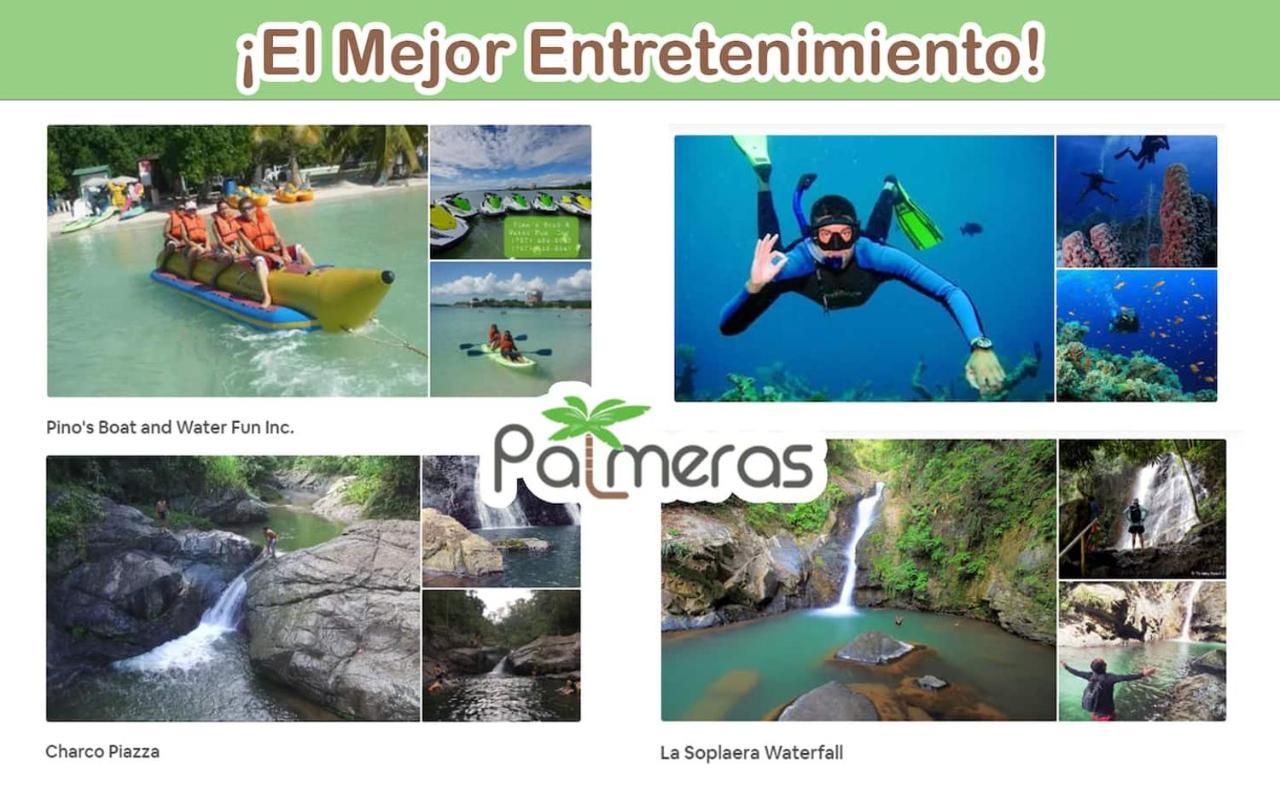 Palmeras - Playa Santa