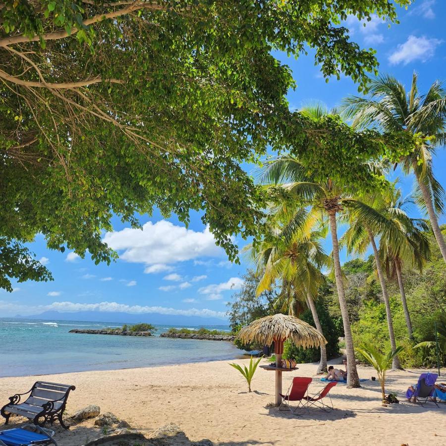 Anse Des Rochers - Ti Kaz Milouma * Saint-Francois (Grande-Terre)