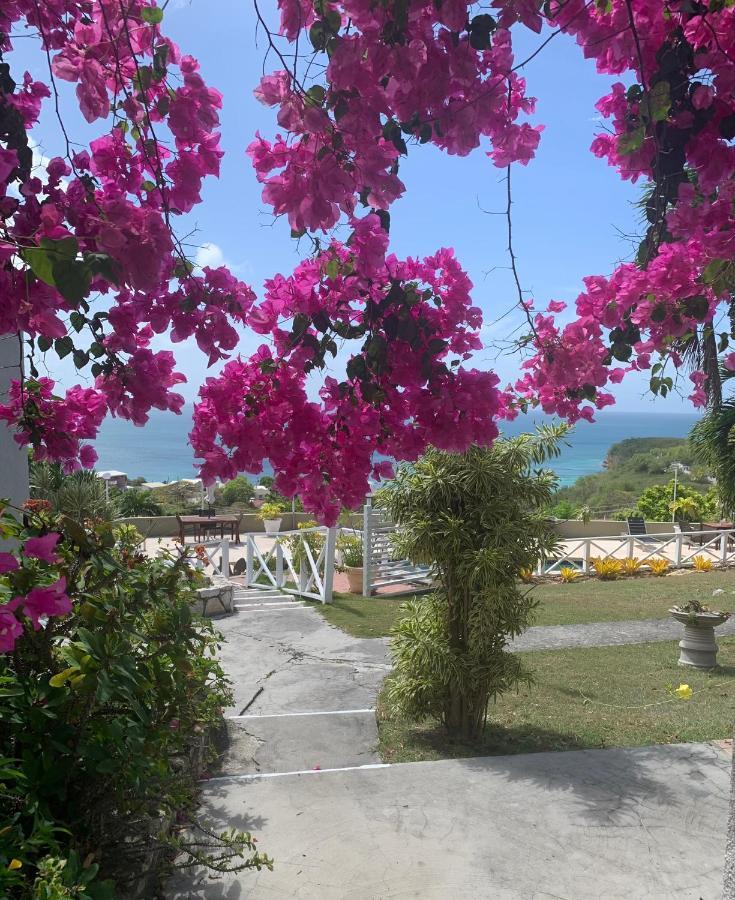 Vista Mare - Cozy With At Walking Distance Dickenson Bay