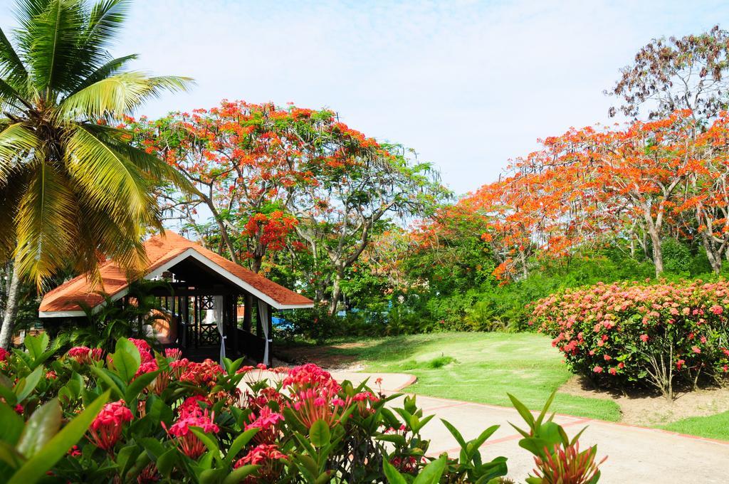 Garden *