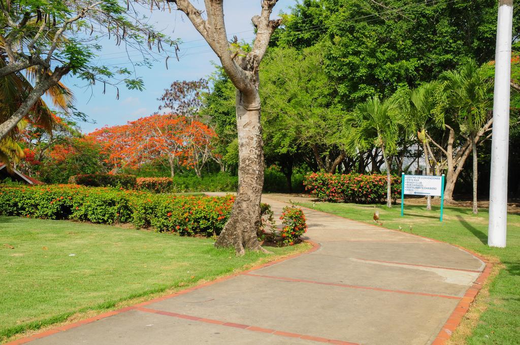 Garden Apartment
