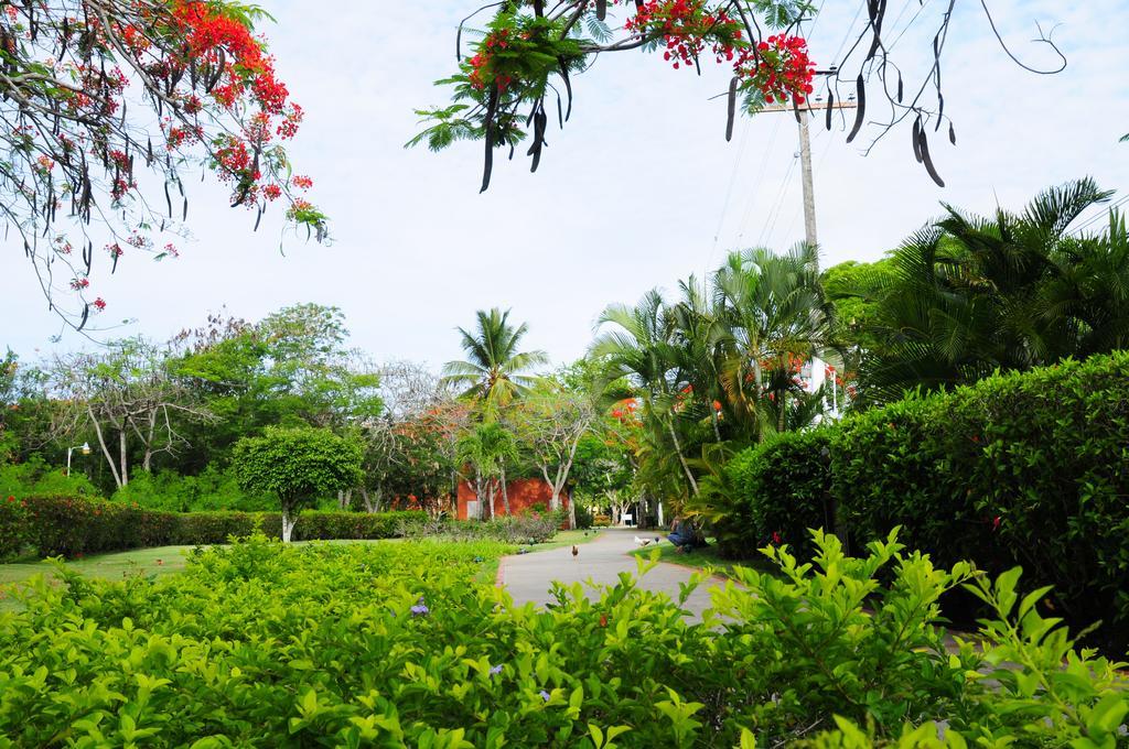 Garden *