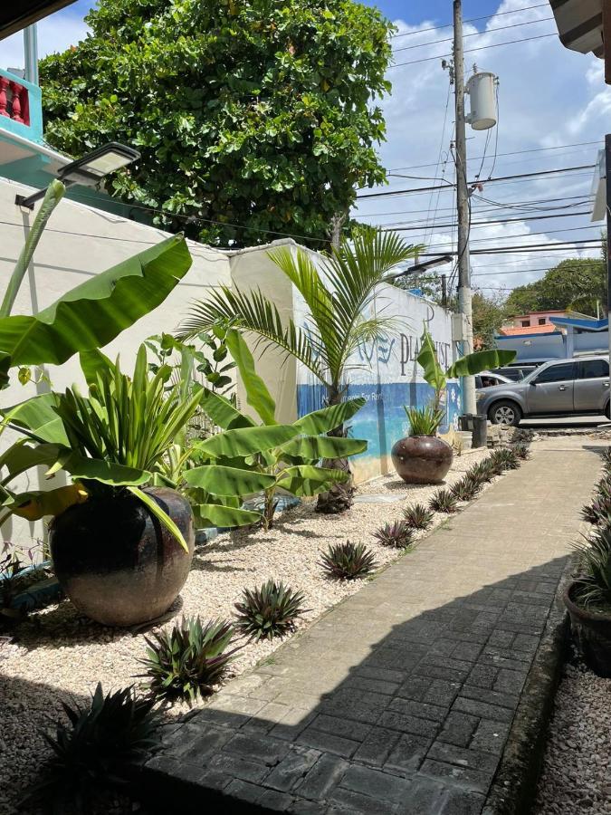 Casa Mia Guest house *