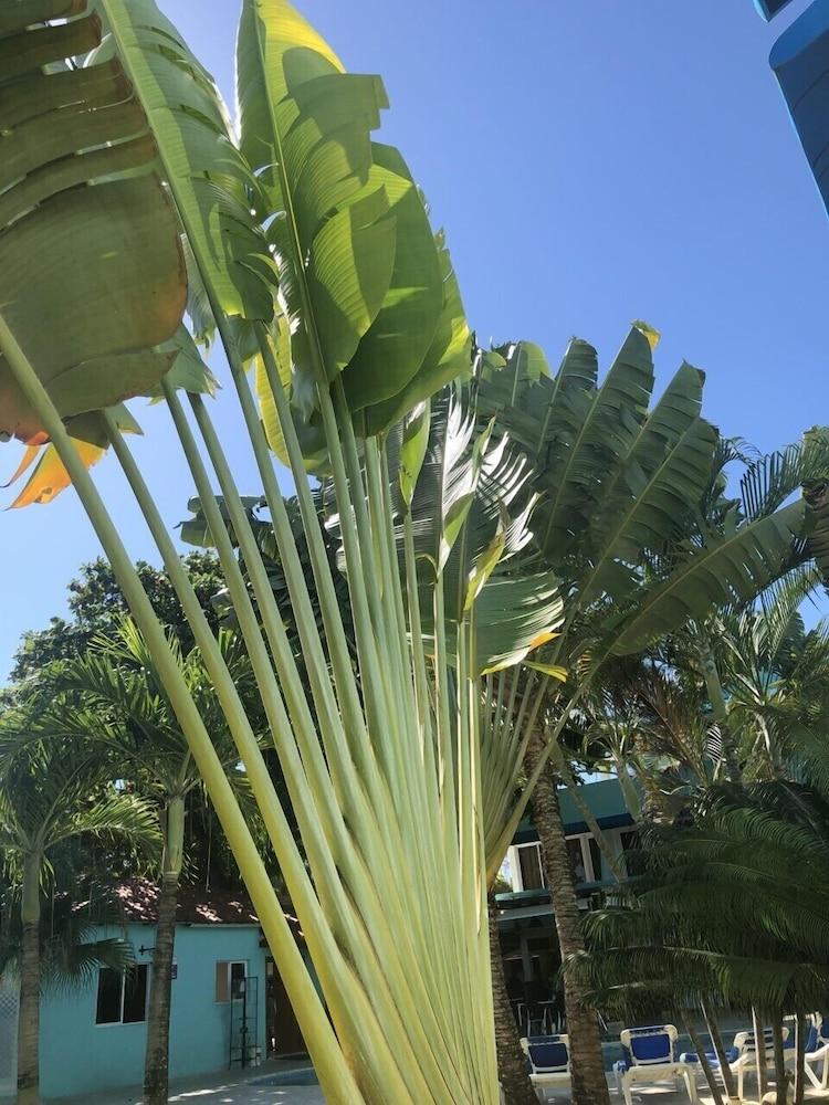 Hotel New Garden Sosua
