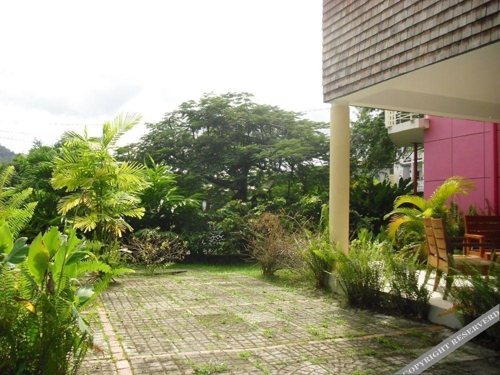 Guayaba