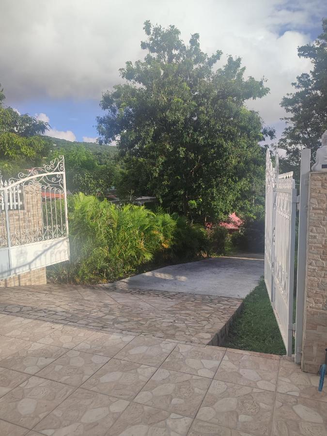 Bebelos Pointe-Noire
