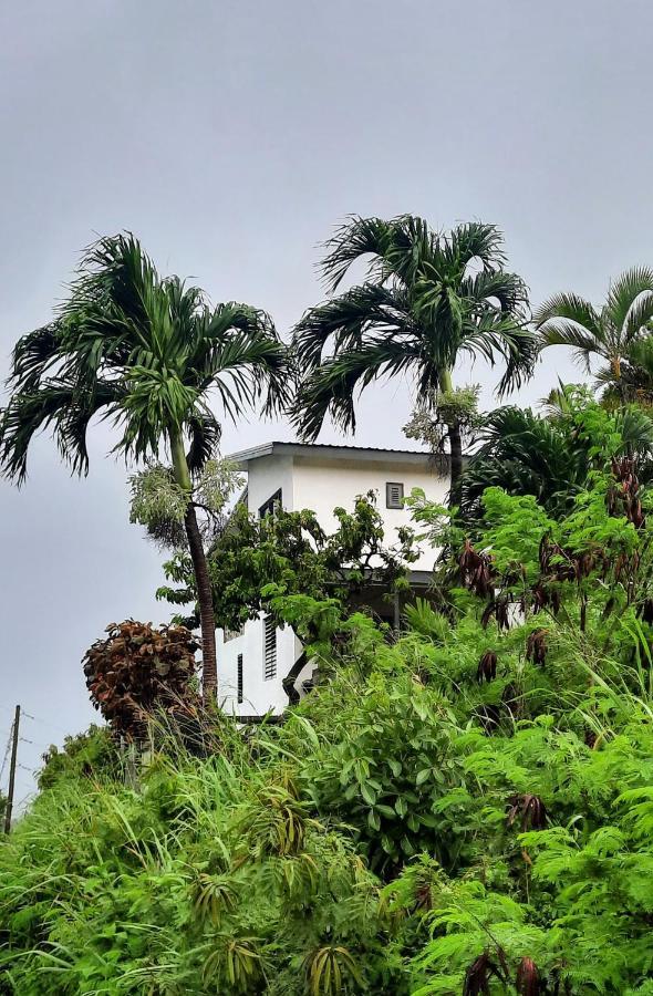 Breezy Vista On The Terrace - West Coast, Saint James, Barbados Apartment *