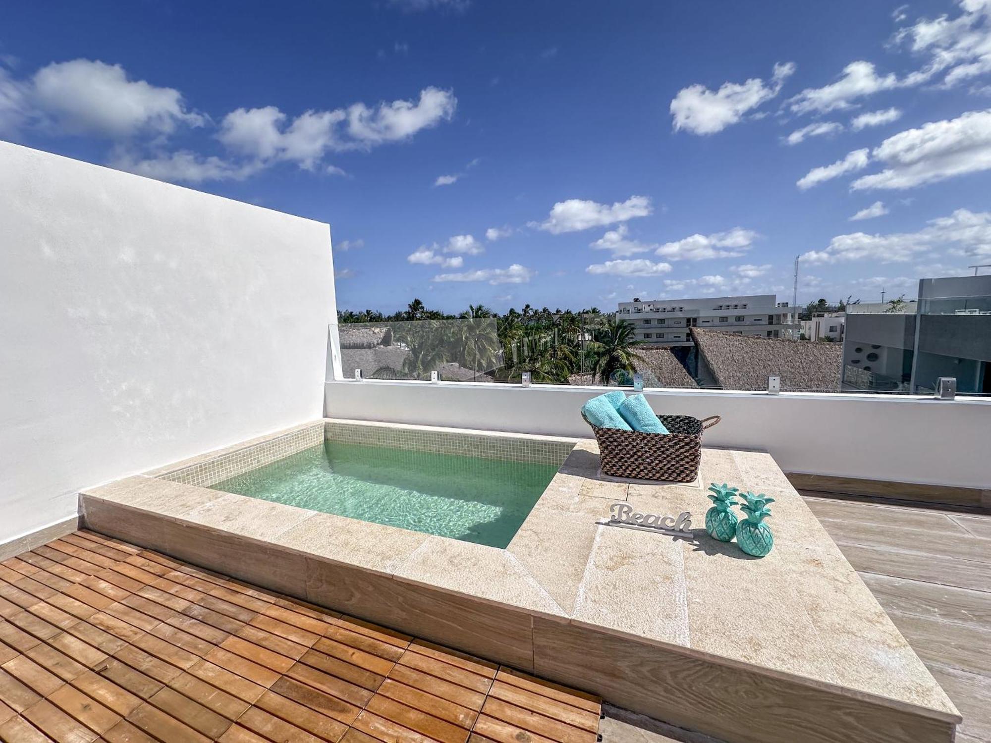 Fantastic New Penthouse W Rooftop Picuzzi Apartment