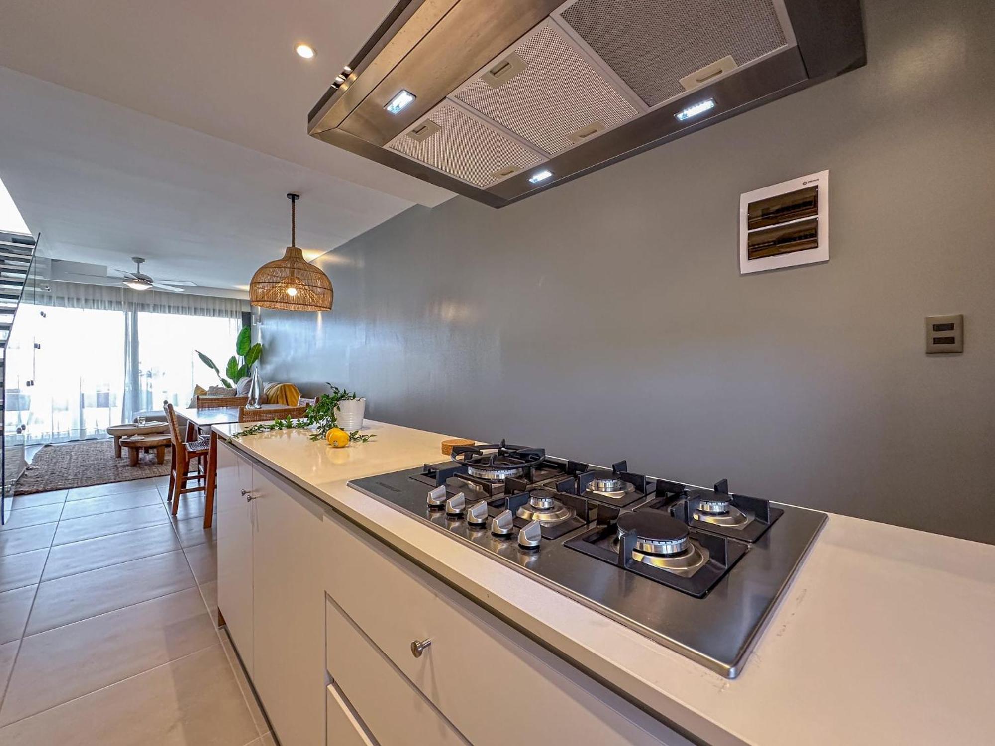 Apartment Fantastic New Penthouse W Rooftop Picuzzi *