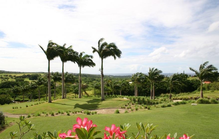 Pousada Coconut Grove 1, Luxury By Island