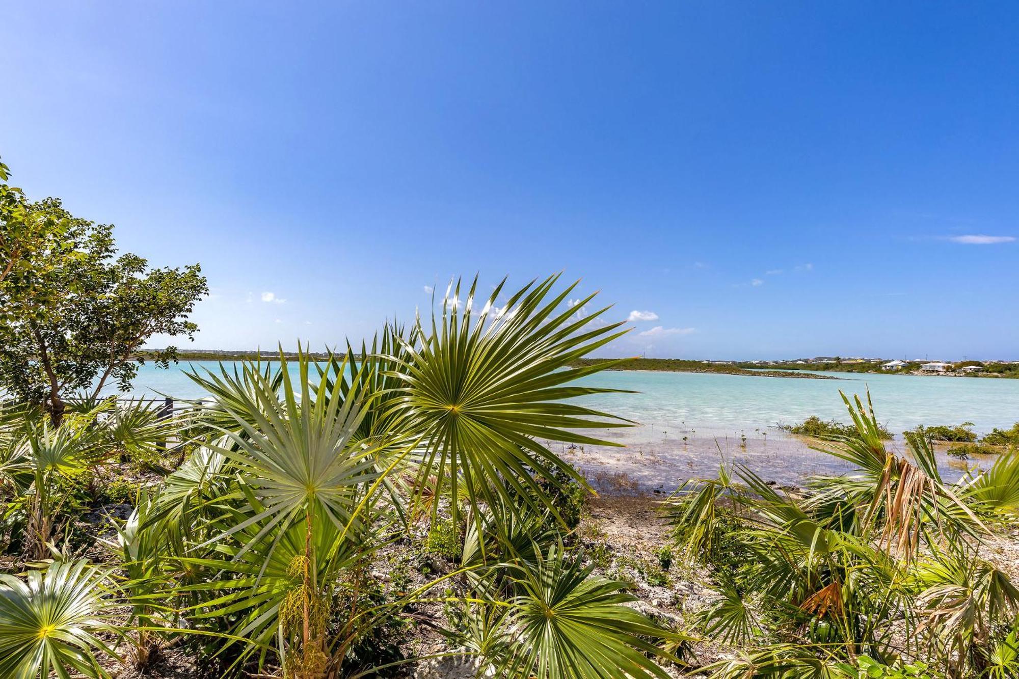 New Tropical Waterfront Cooper Jack Bay Villa *