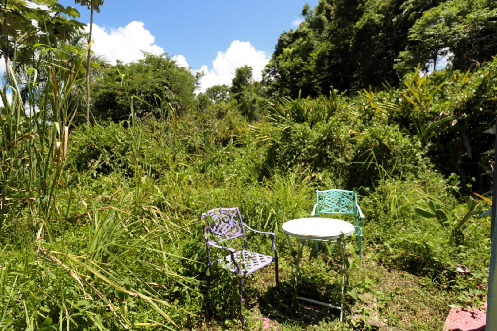 Bed & Breakfast La Casa De Vida Natural