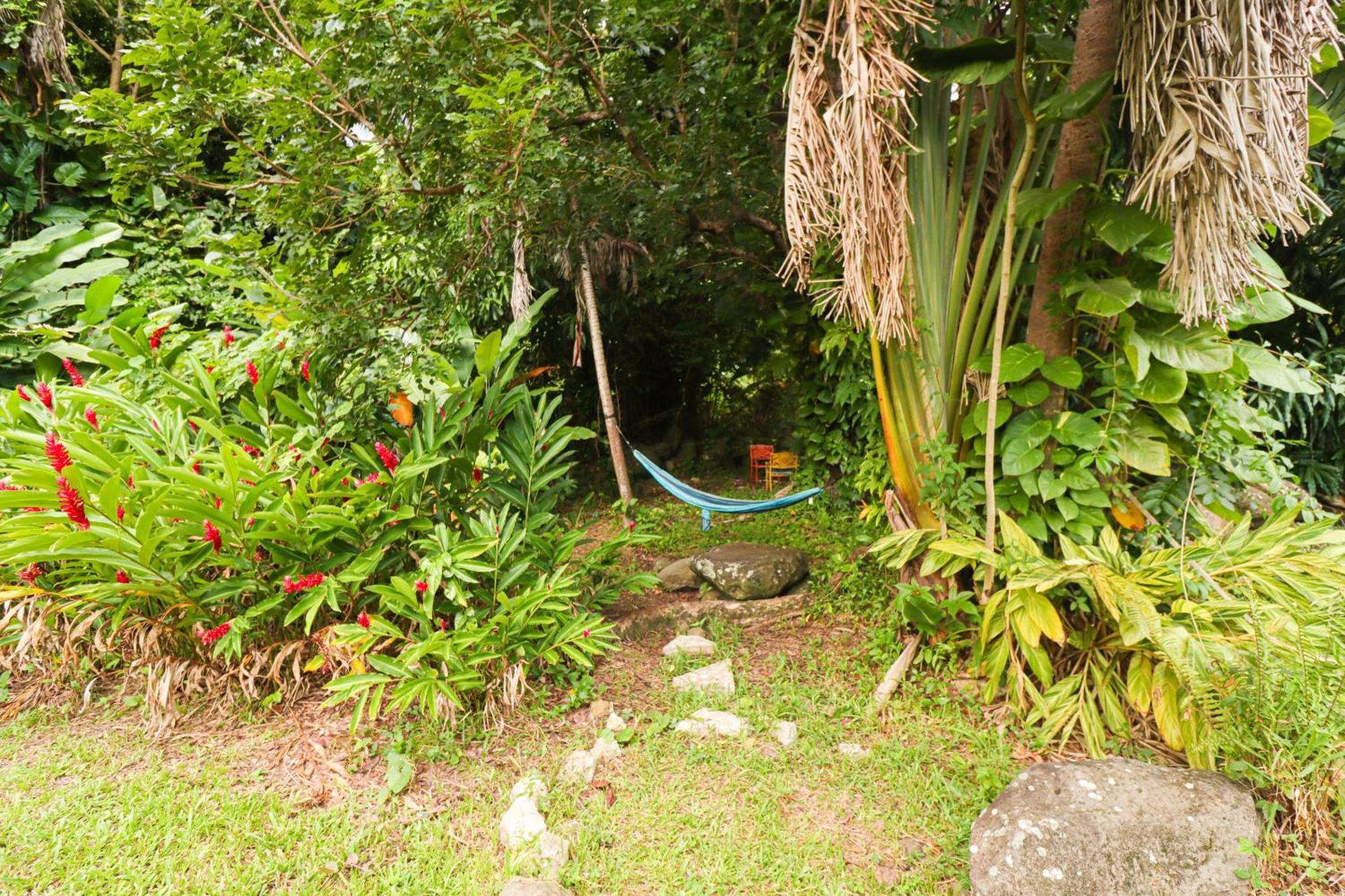 La Casa De Vida Natural *