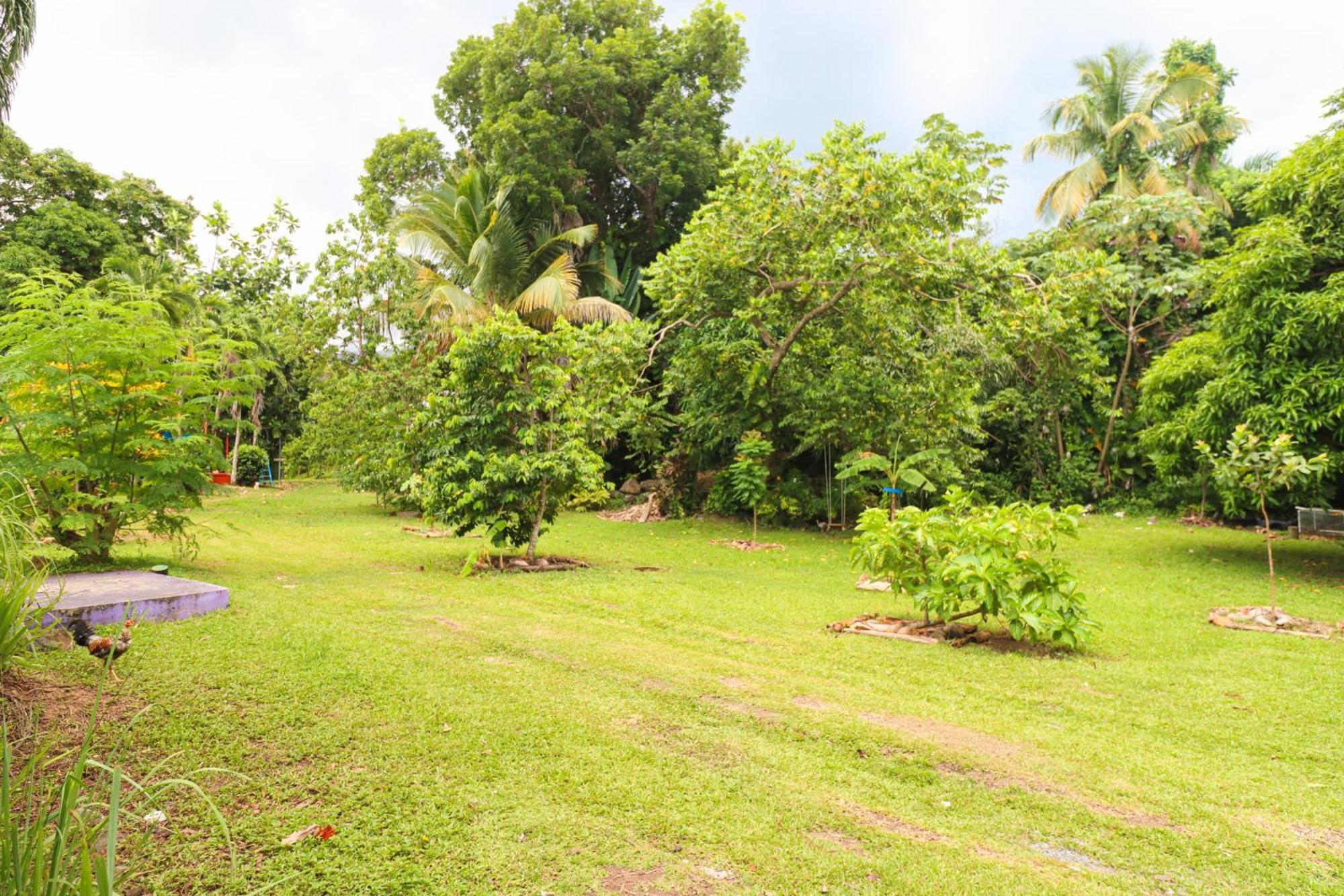 La Casa De Vida Natural Bed & Breakfast Rio Grande