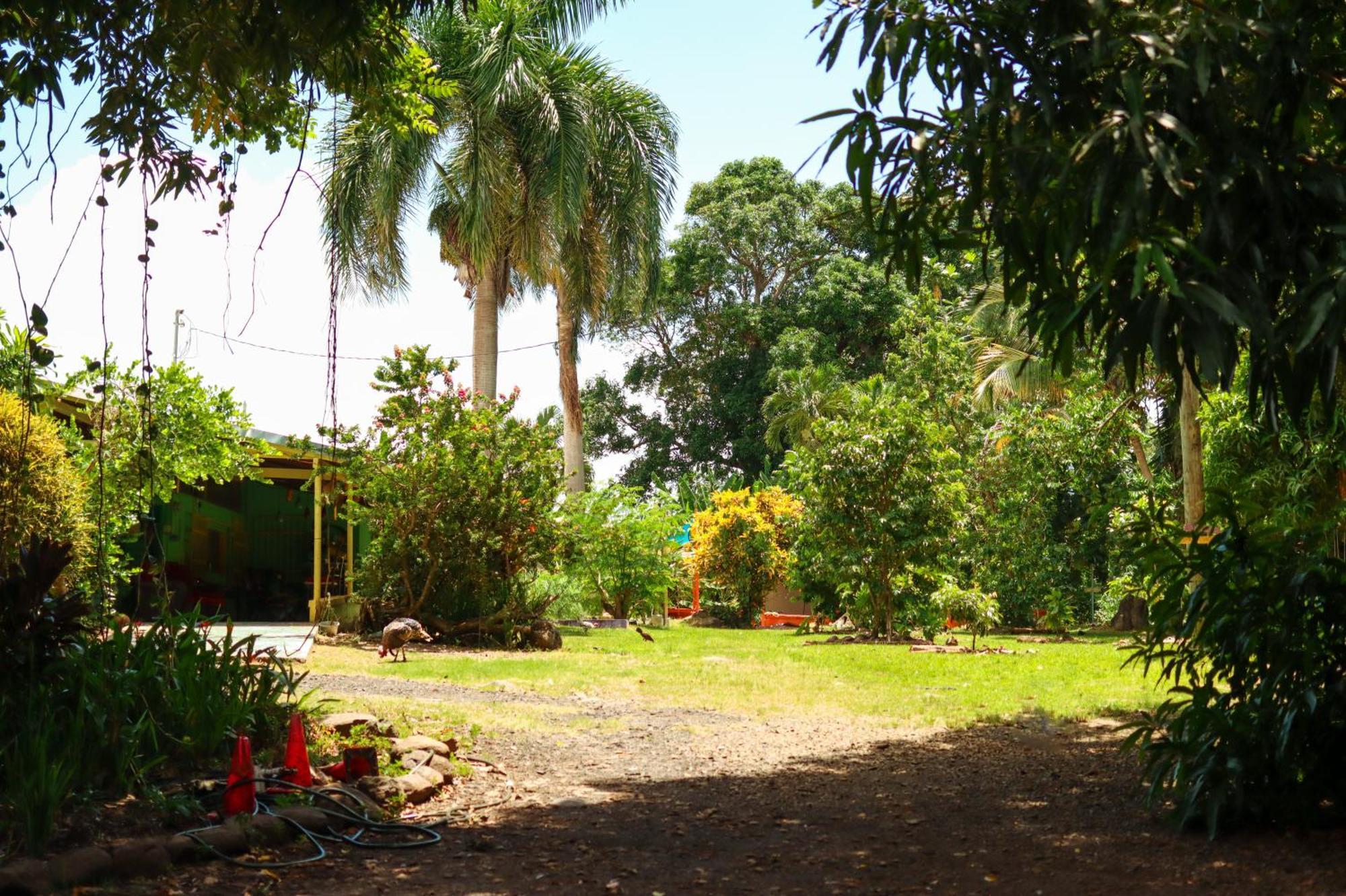 La Casa De Vida Natural Bed & Breakfast