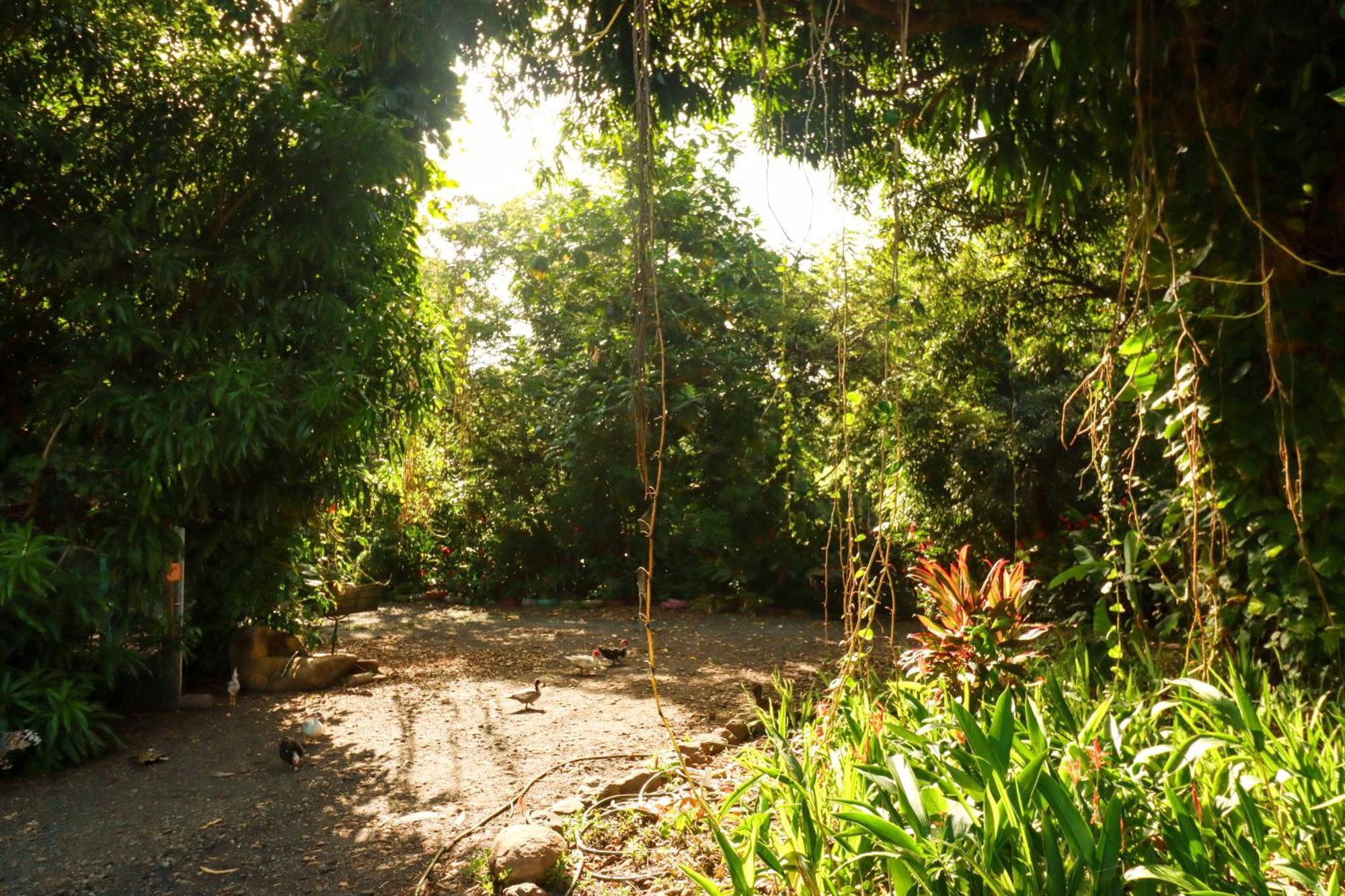 La Casa De Vida Natural Bed & Breakfast *