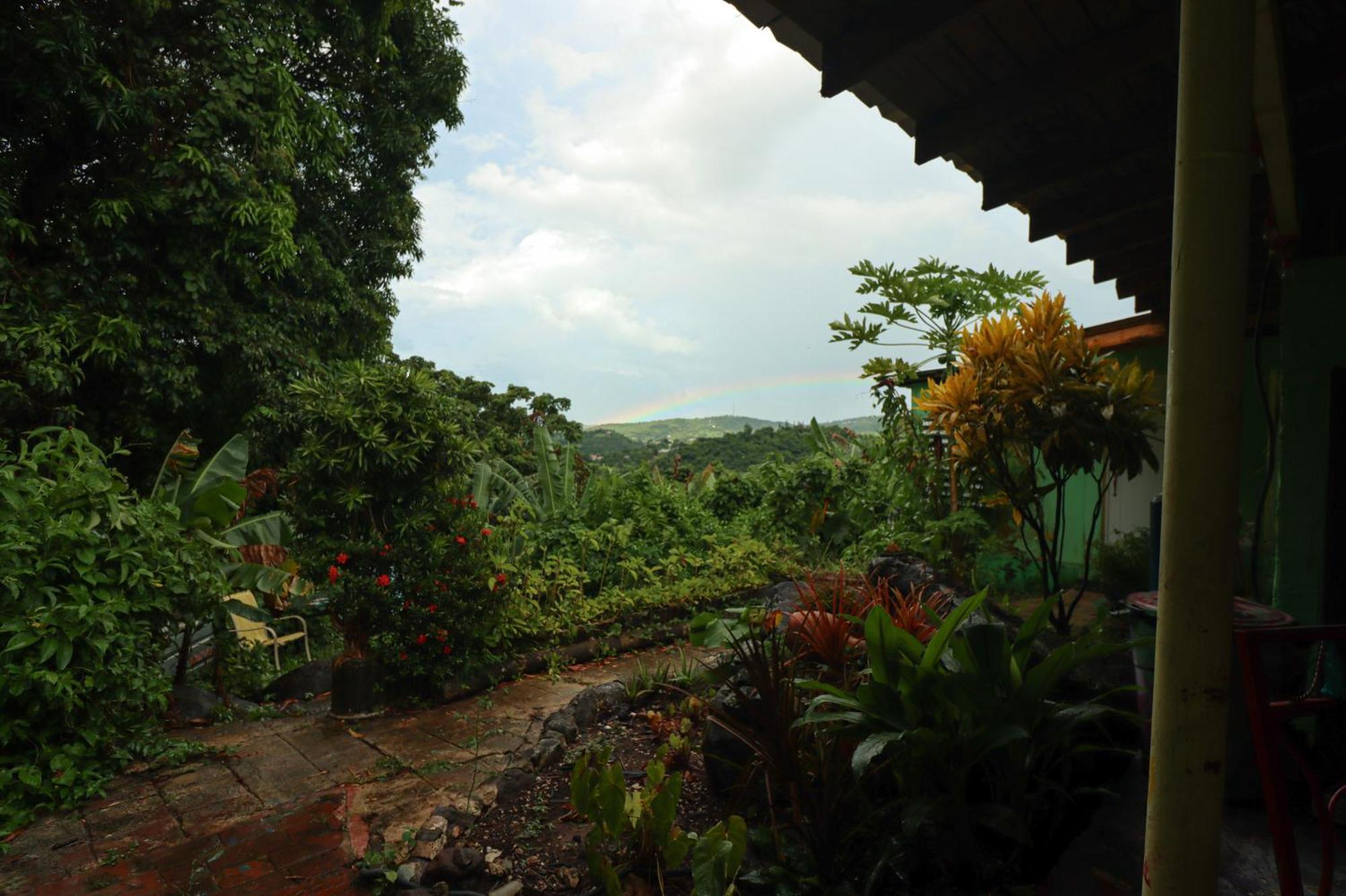 La Casa De Vida Natural Bed & Breakfast Rio Grande