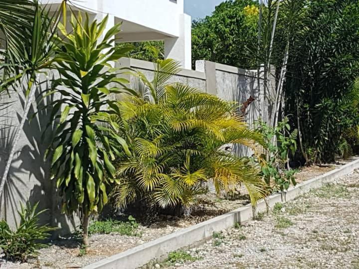 Garden Apartment-Beach-5Min Drive, 1 Hr Montego Bay, 25 Mins Ocho Rios, Welcome Breakfast Basket Apartment Runaway Bay