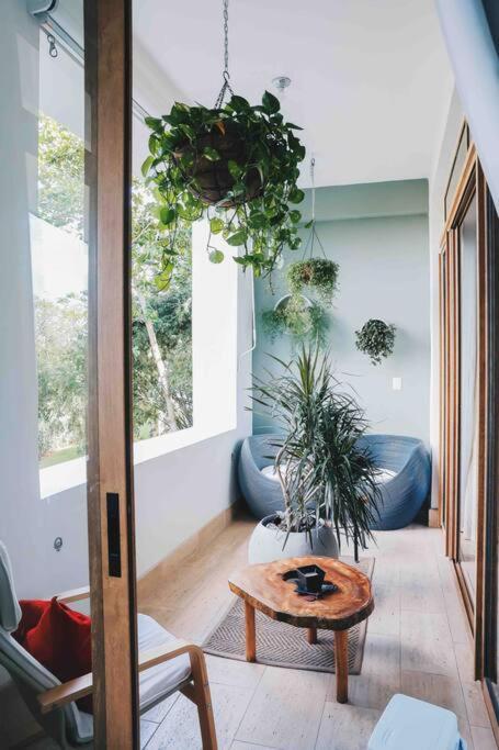 Modern In