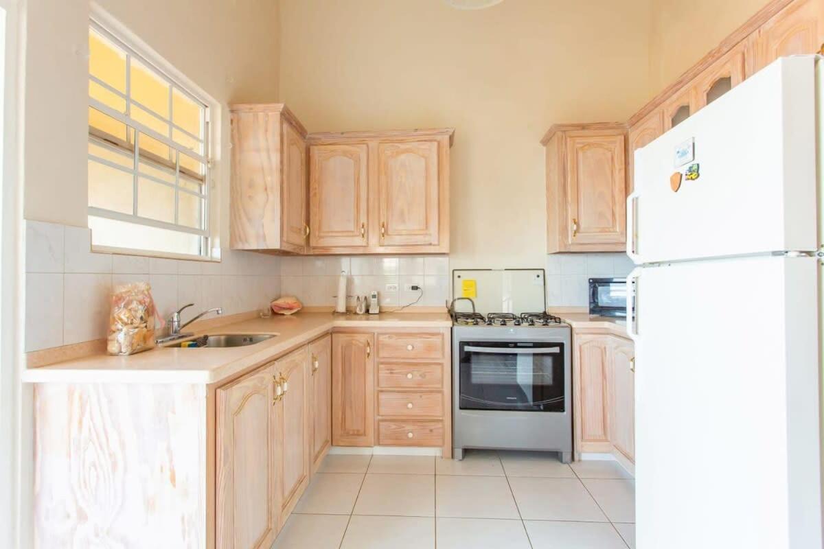 Apartment Oceanview Terrace I Full Kitchen I Steps To I Wifi Saint Lucy