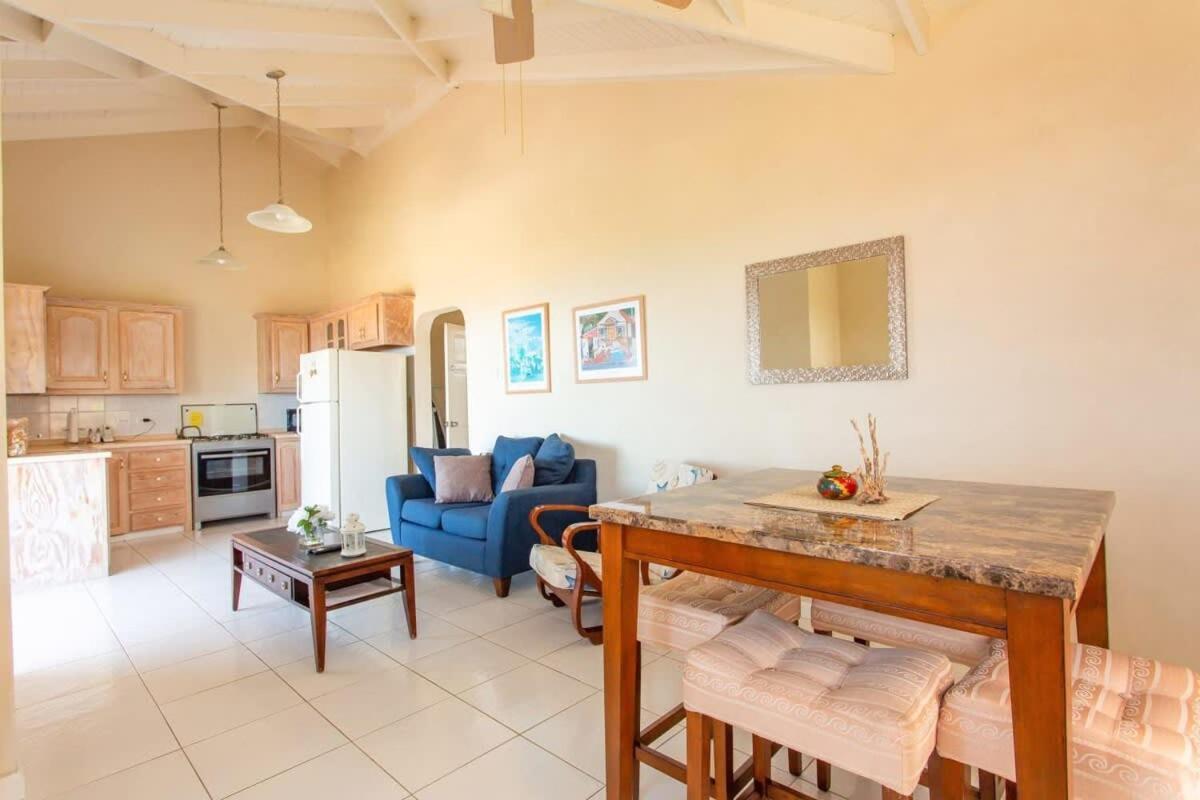 Oceanview Terrace I Full Kitchen I Steps To I Wifi Apartment Saint Lucy