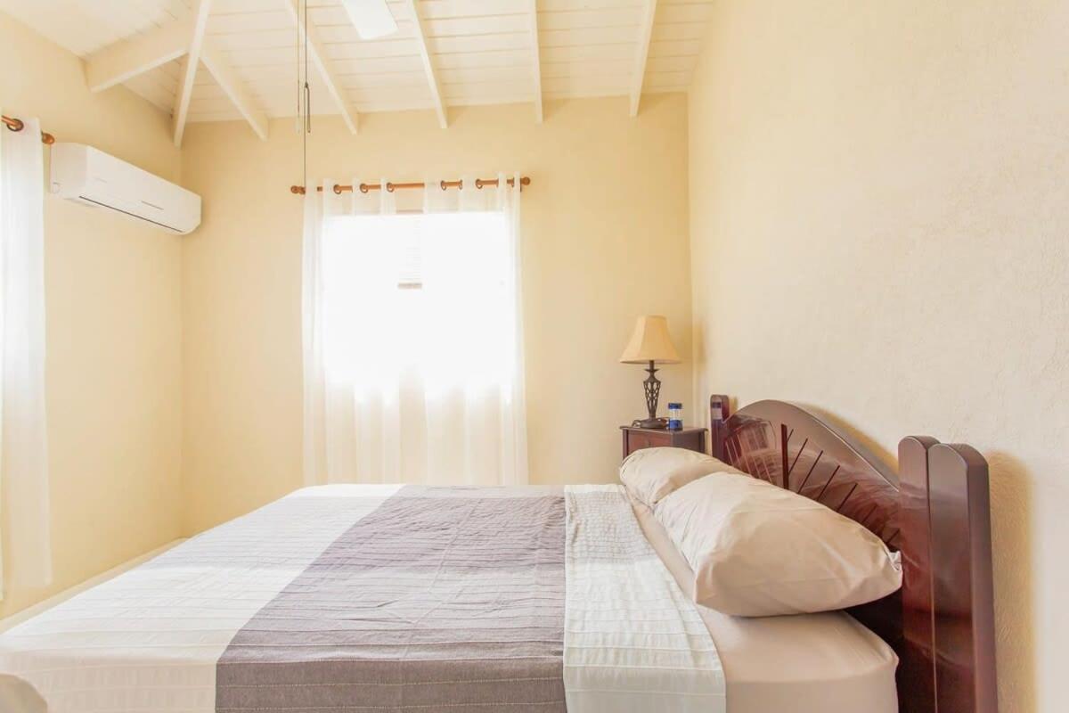 Oceanview Terrace I Full Kitchen I Steps To I Wifi * Saint Lucy