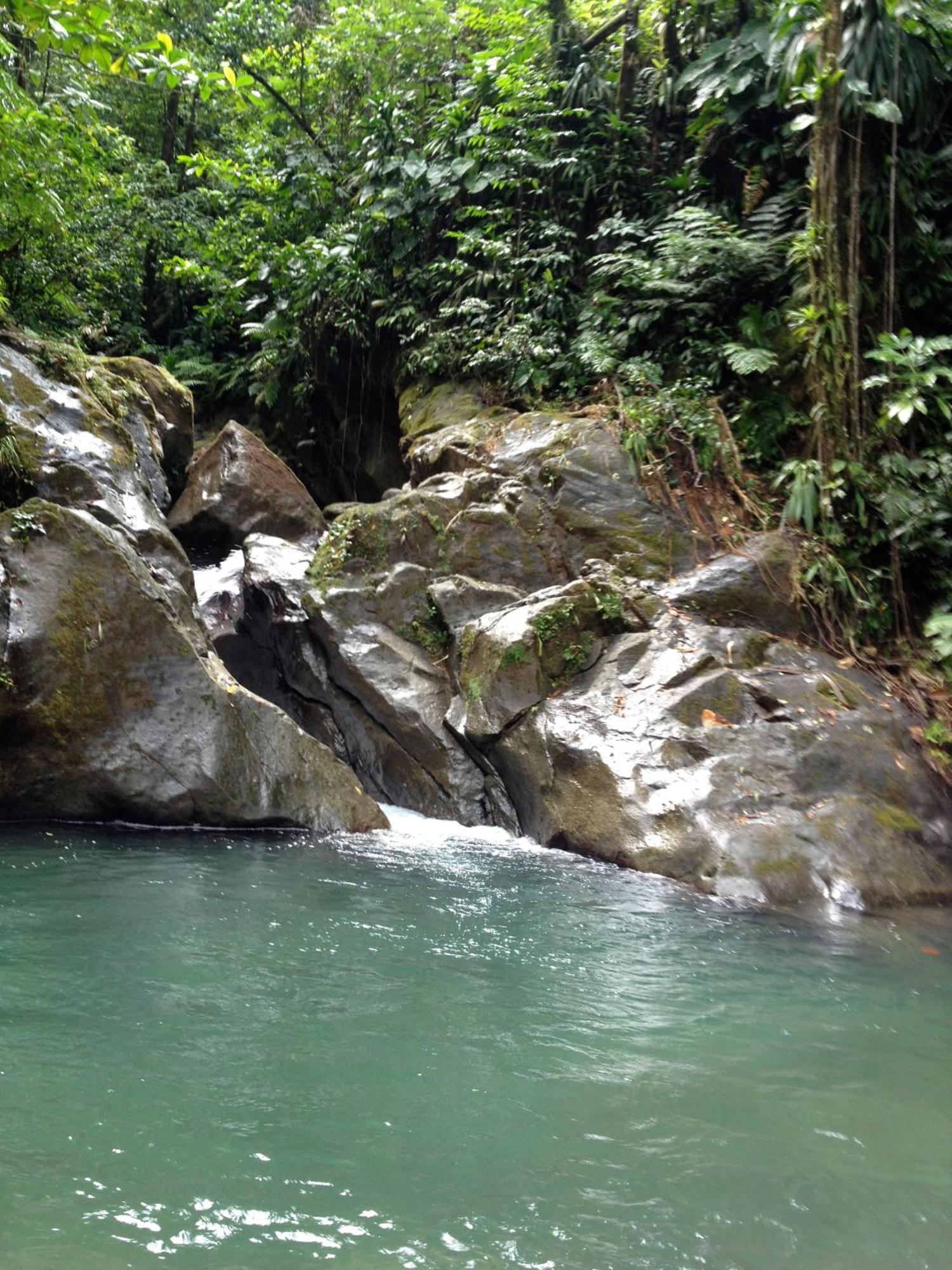 Roots Jungle Retreat Lodge Marigot