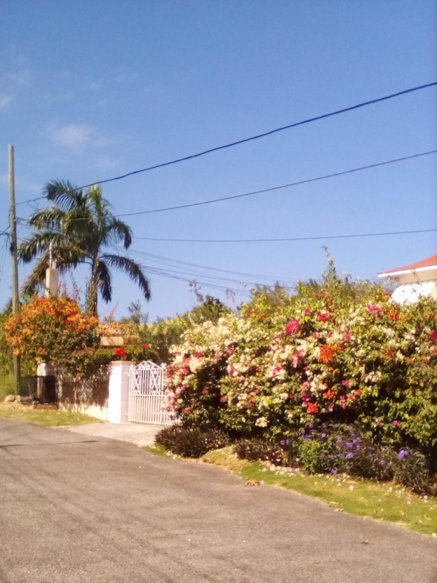 Bed & Breakfast Castlevue