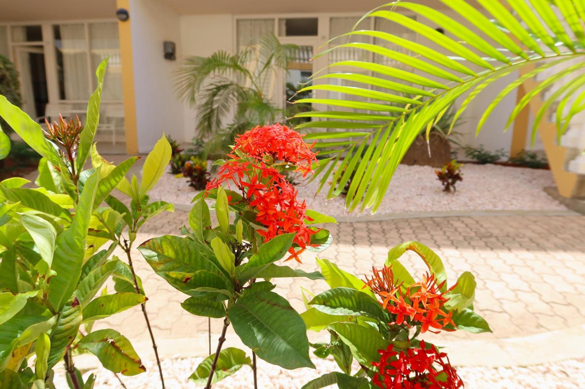 Montana Eco Aruba Resort