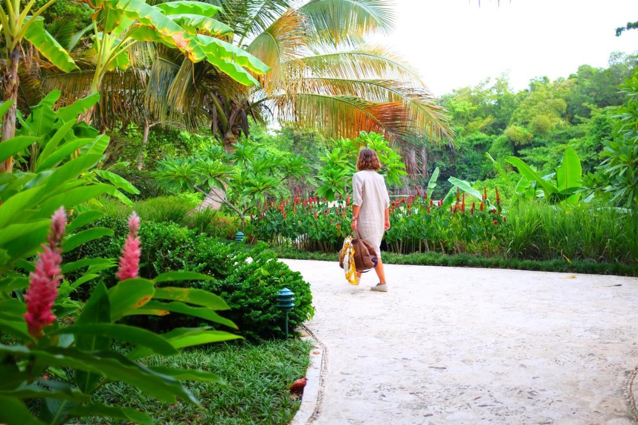 Hotel Casa Colonial & 5*