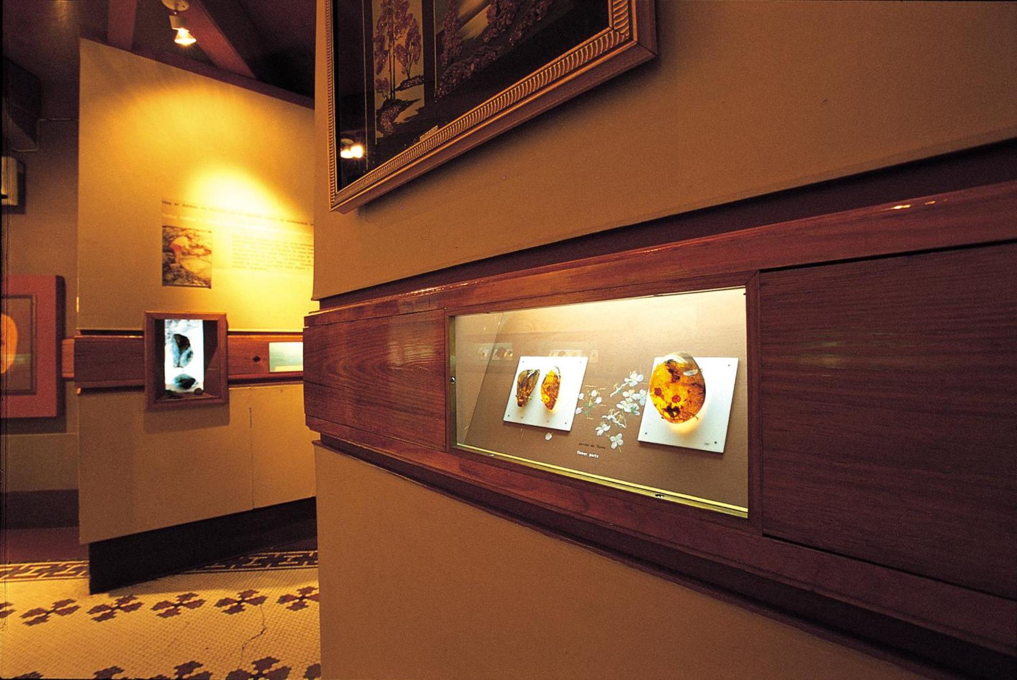 Crowne Plaza By Ihg Santo Domingo
